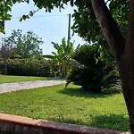 Dei Sogni Έμπολι
