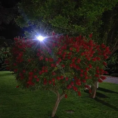 לינה וארוחת בוקר Dei Sogni אבולי